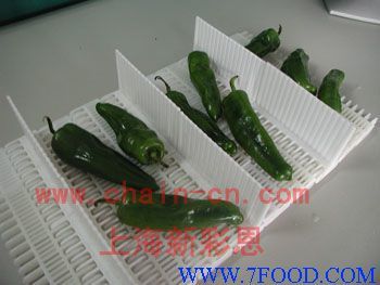 食品專用輸送帶_產(chǎn)品(價格、廠家)信息_中國食品科技網(wǎng)