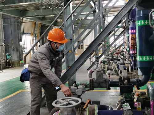 田東 防疫保供兩不誤 工業(yè)農(nóng)業(yè)復(fù)工忙